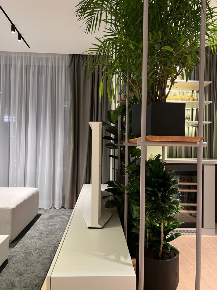 Фотосессия  - двери, мебель и перегородки в московской квартире