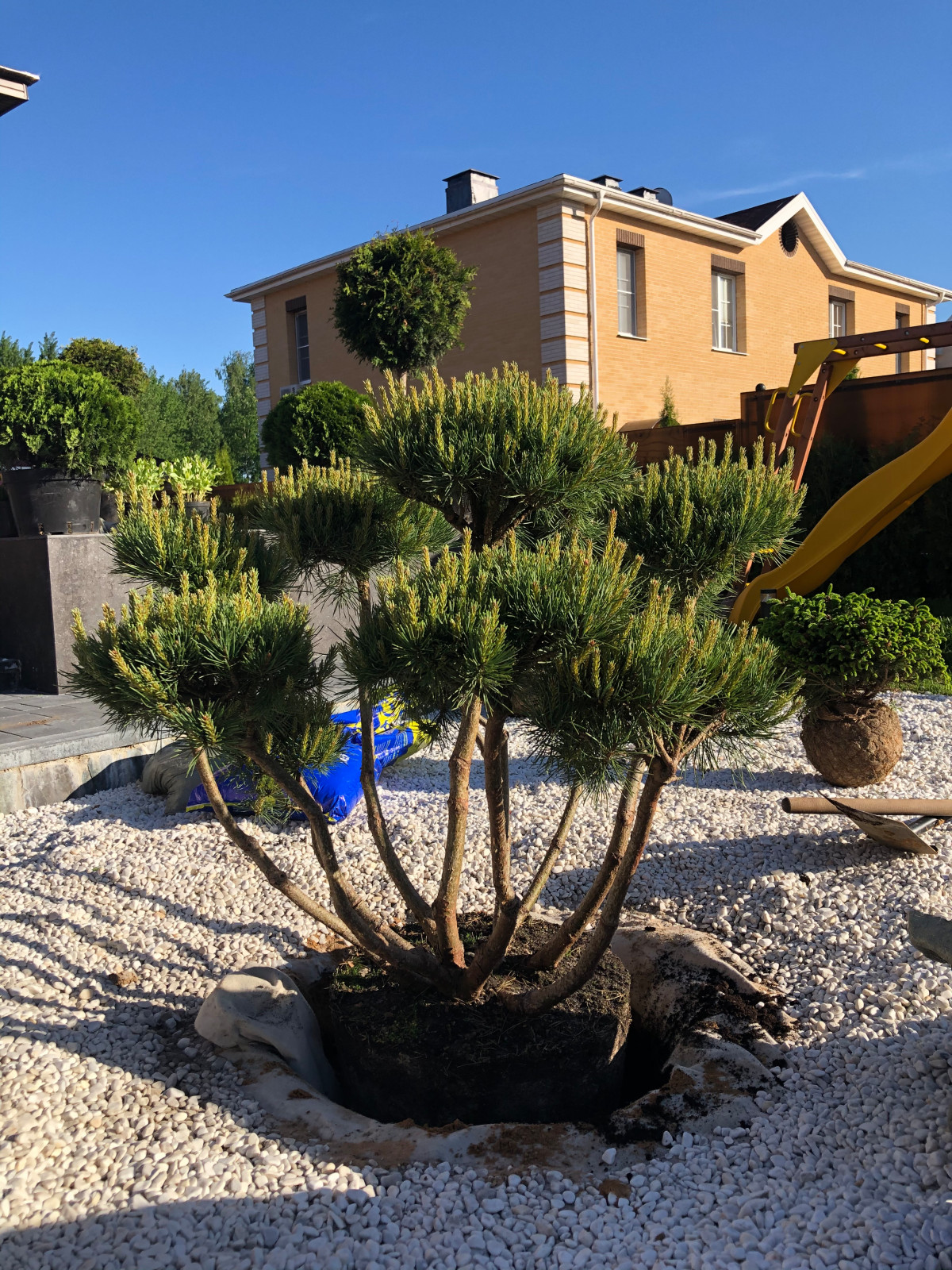 Минимализм