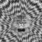 Файруза Алиева