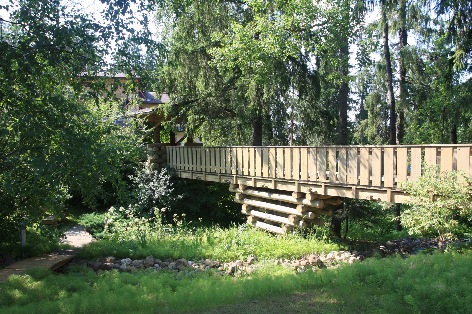 Лесная жизнь