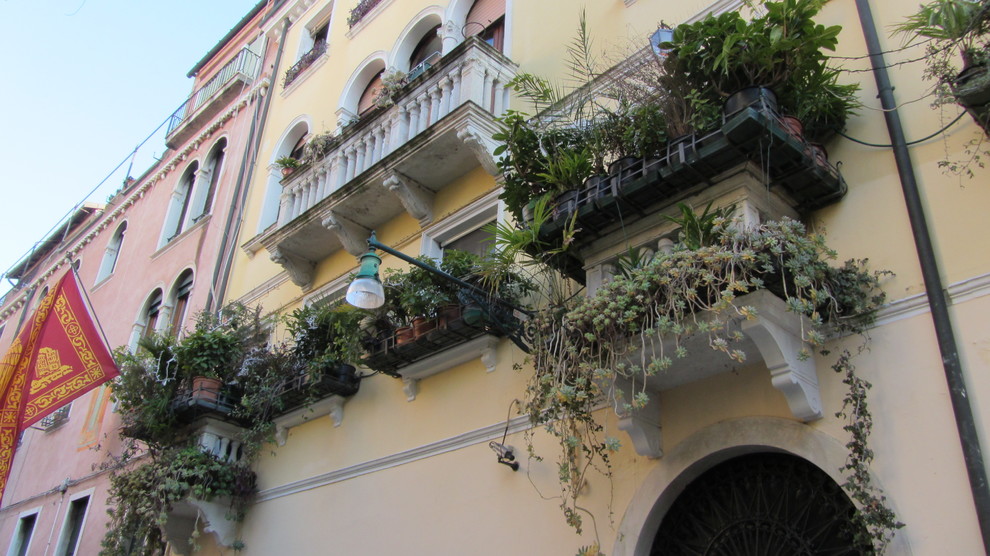 Обложка проекта: Городское озеленение