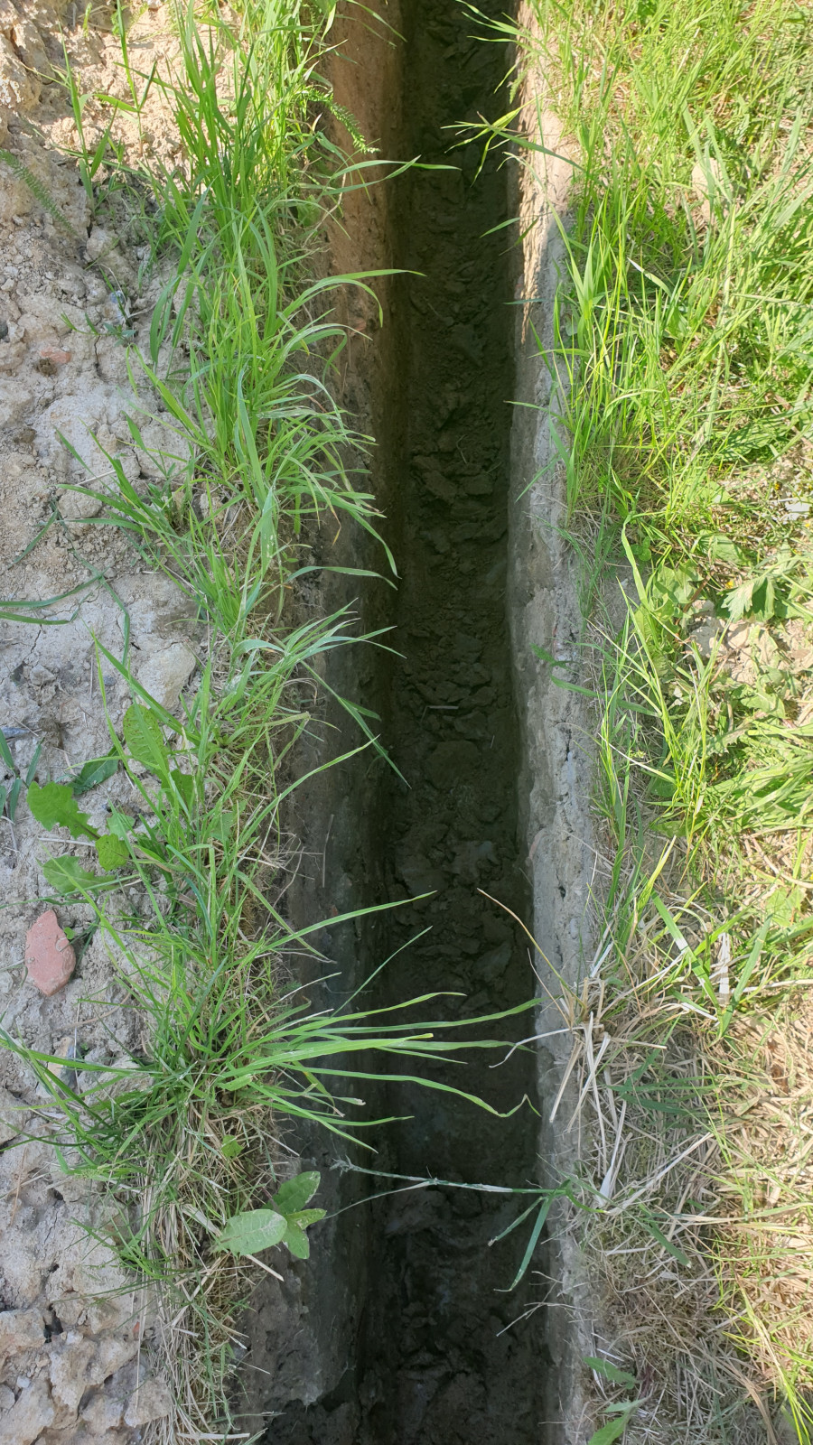 Обложка проекта: Дренаж участка