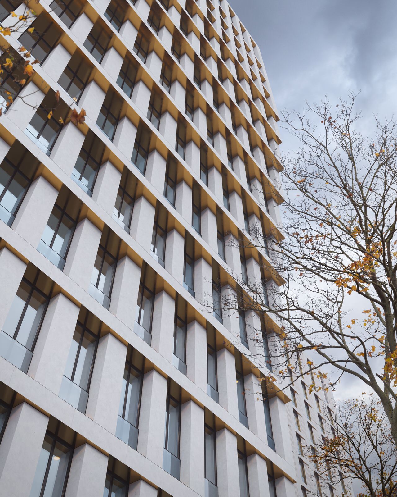 Обложка проекта: PROJECT "WHITE"