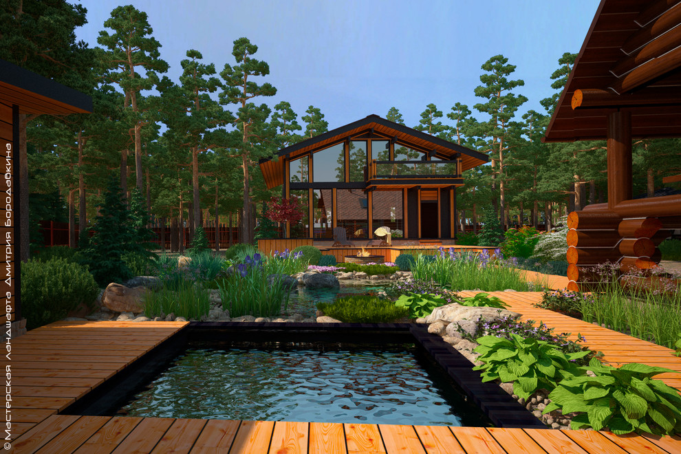 Обложка проекта: Утро в сосновом лесу