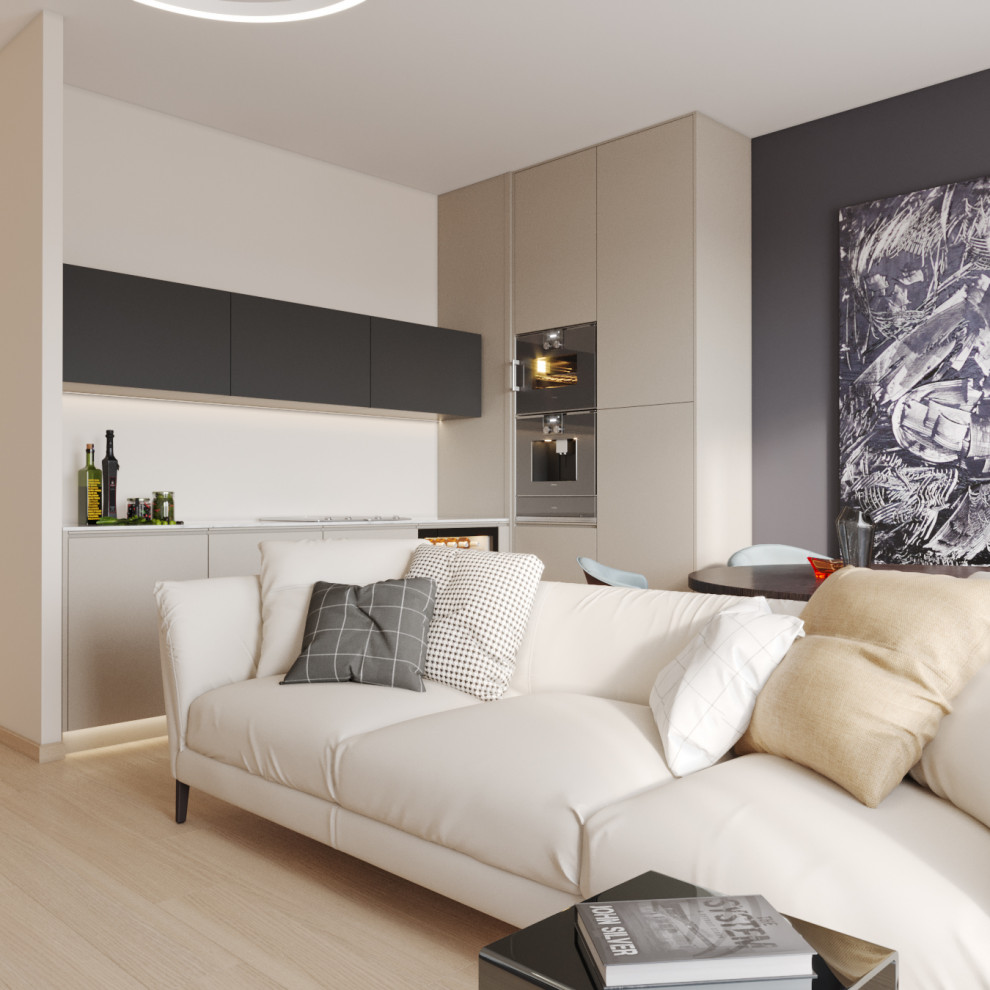 Проект 2 комнатной квартиры