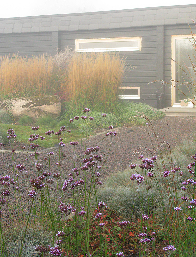 Houzz Белоруссия: Сад в тумане