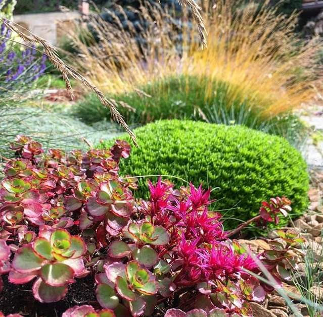 Сад пяти комнат