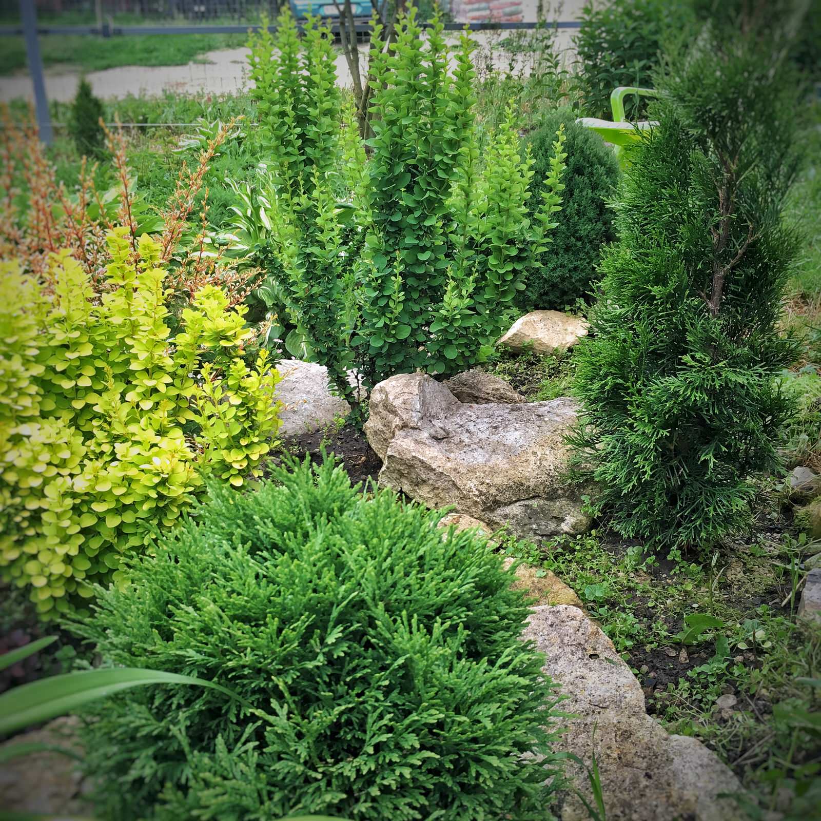 Анна Ковешникова