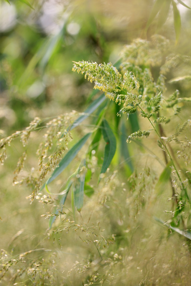 Геометрия природы Moscow Flower Show 2017