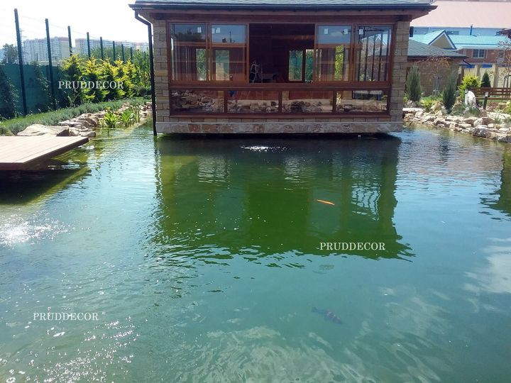 Искусственный пруд