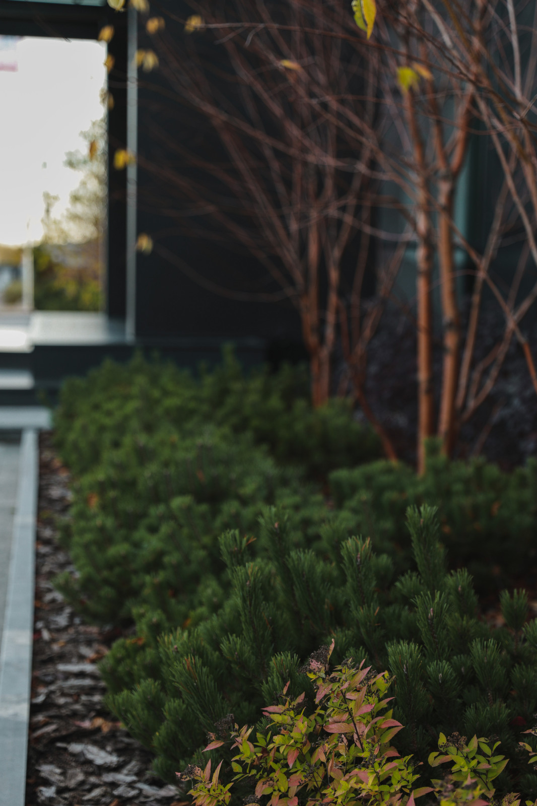 Оформление территории у офисного здания