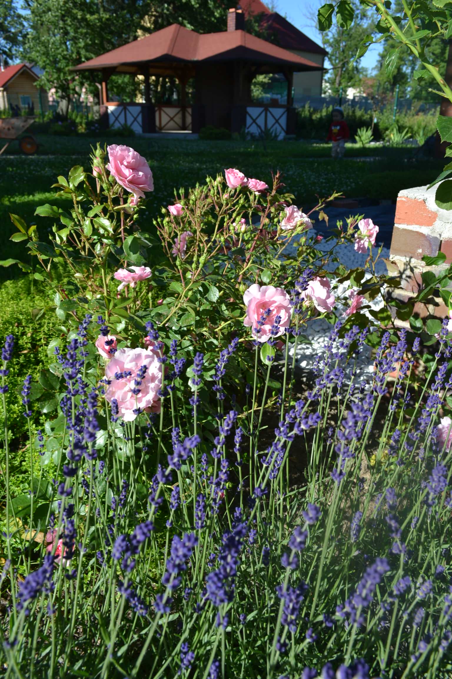 Проект недели: «Сад парфюмера» под Калининградом