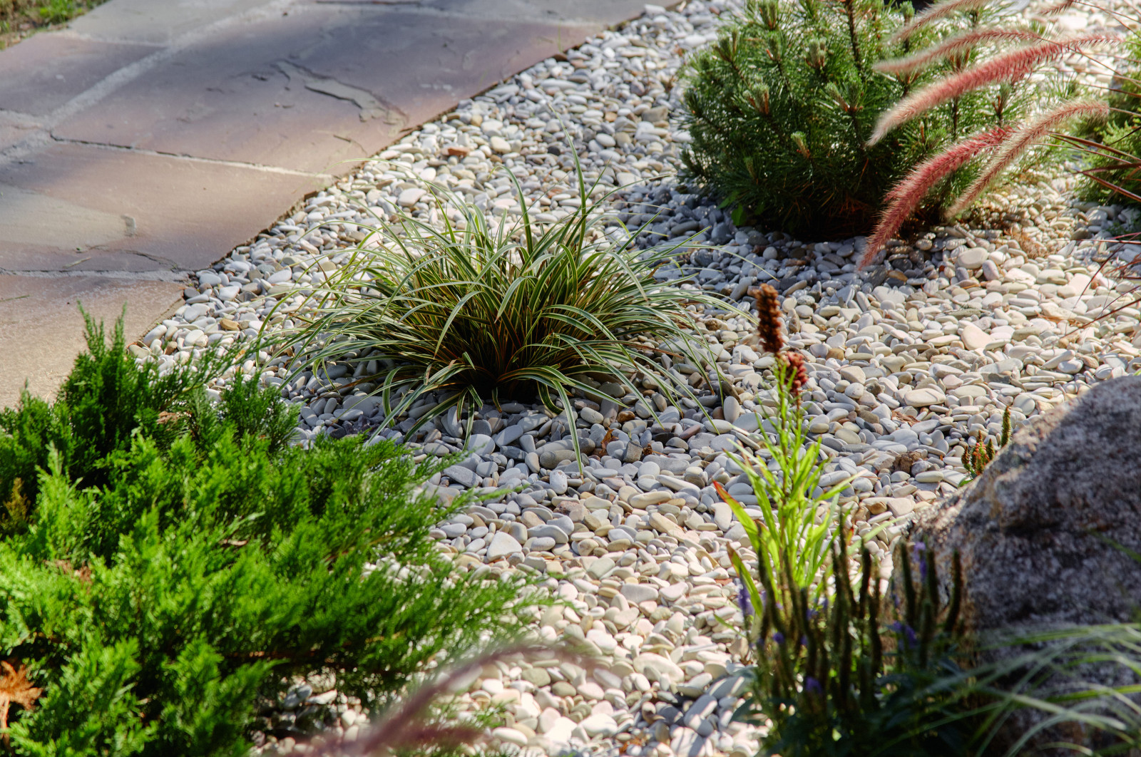 Репино парк сад камня