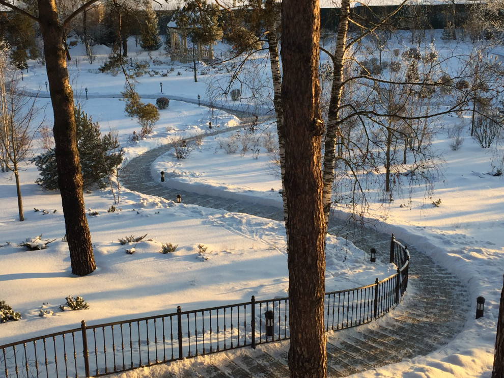 Обложка проекта: «Сад ажурных лугов»