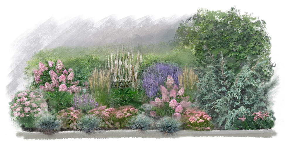 Обложка проекта: Дизайн зоны отдыха, разработка миксбордеров