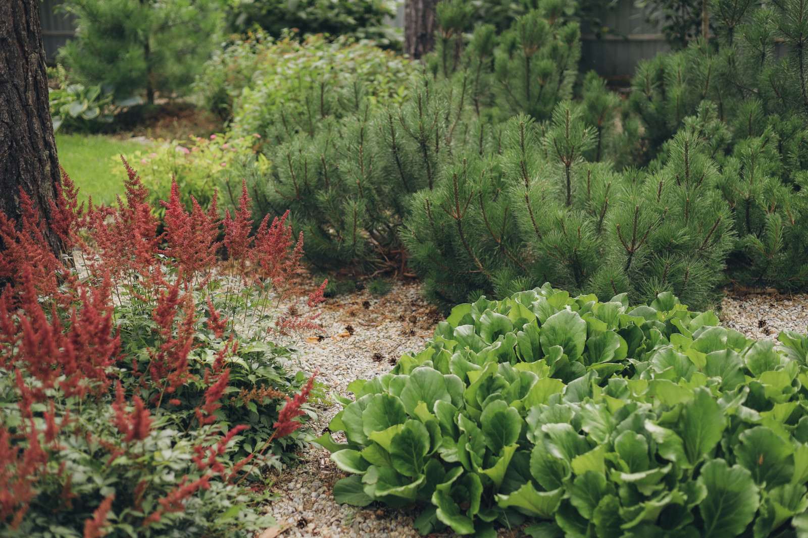 50 оттенков красного