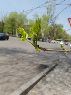 Жанна Дуганова