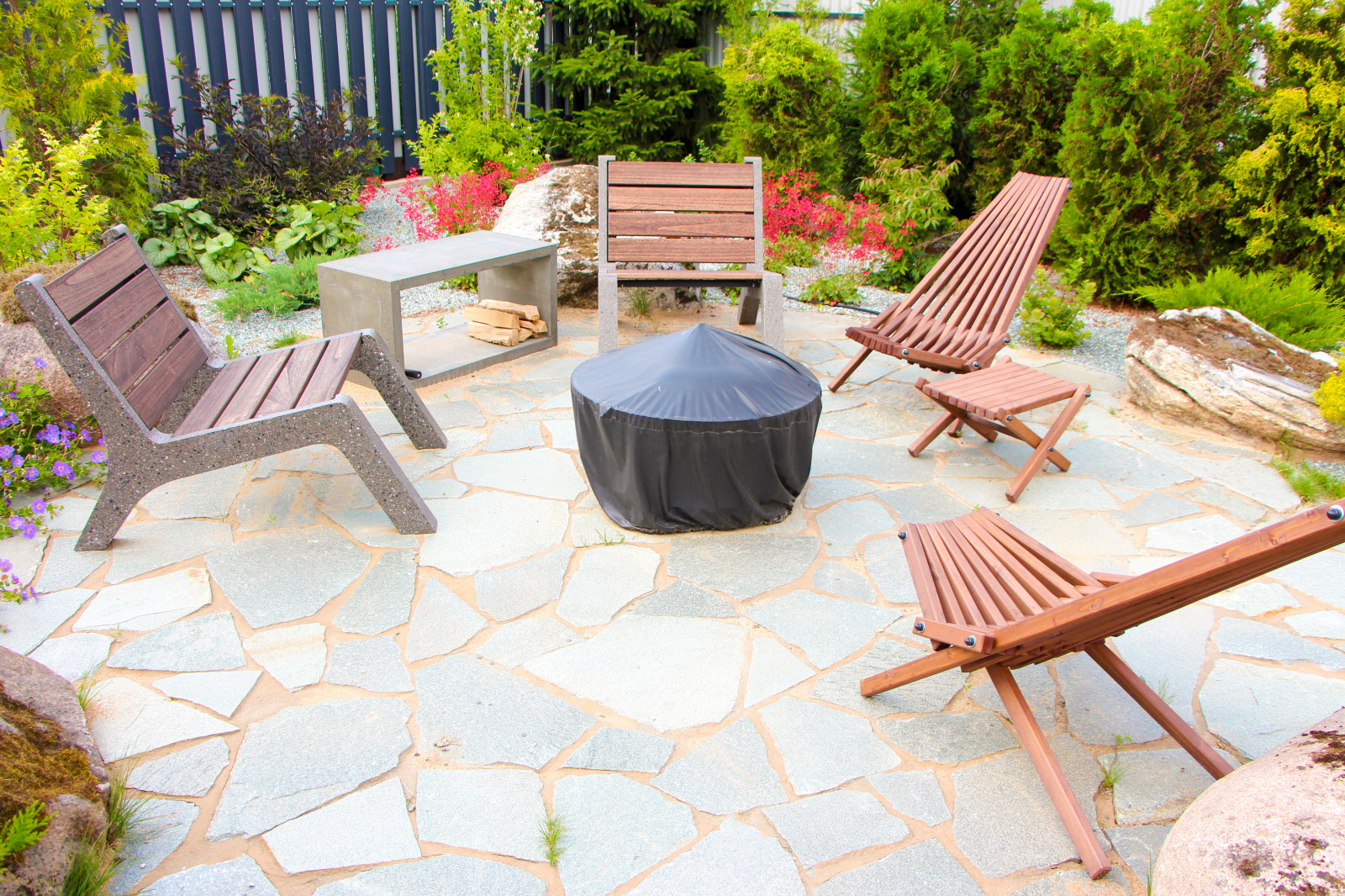 Обложка проекта: Лесной, 2022 г.