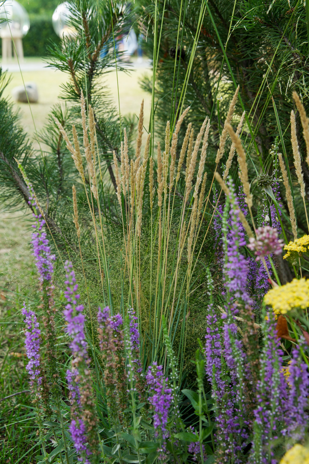 Сад   James Alexander-Sinclair  на Moscow Flower Show 2018  (вне  конкрса)