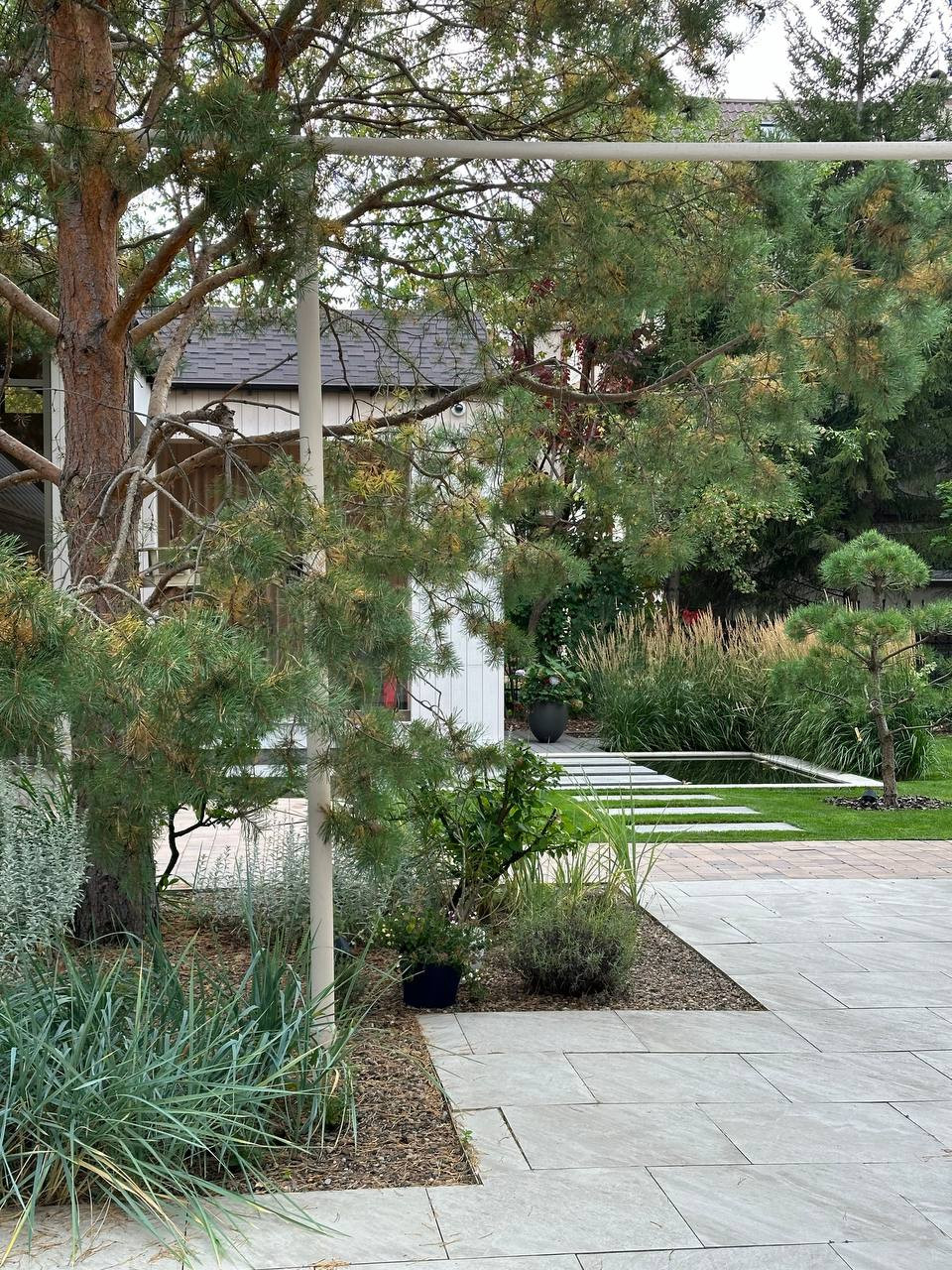 Чистые линии