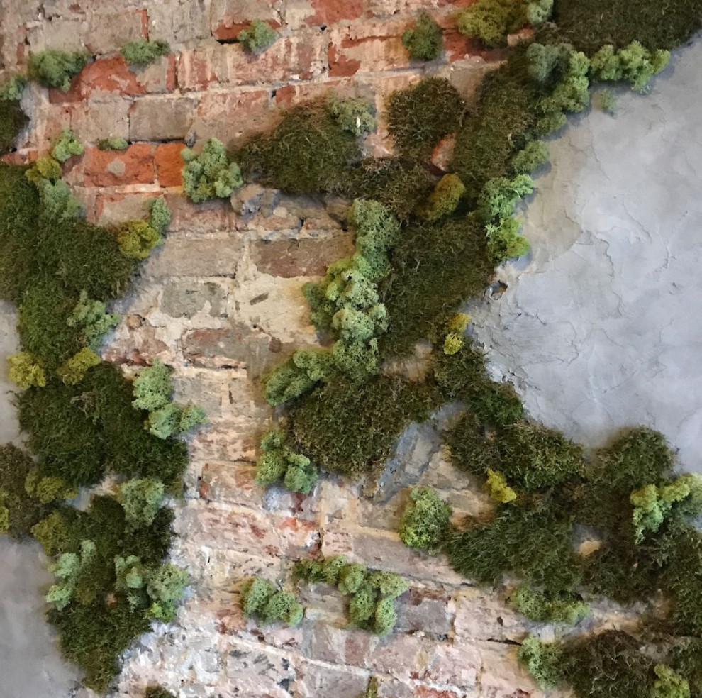 Обложка проекта: разное