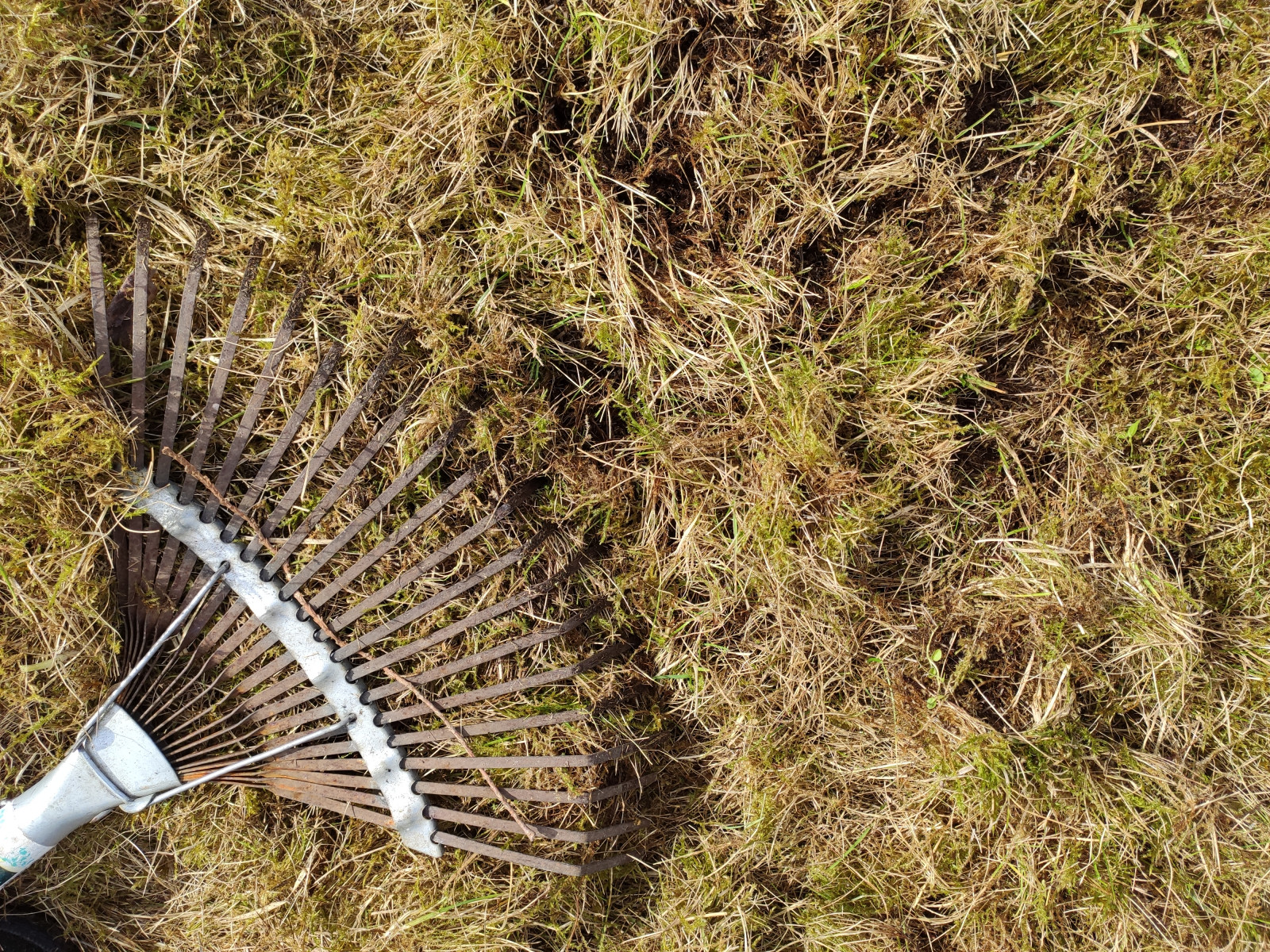 Обложка проекта: Уход за газоном