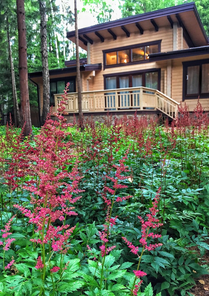 Лесной участок в Подмосковье