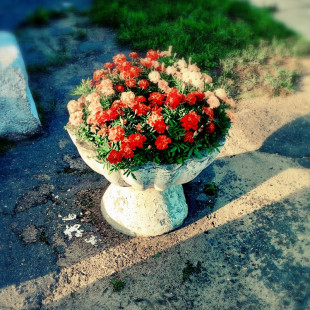 Мария Горохова