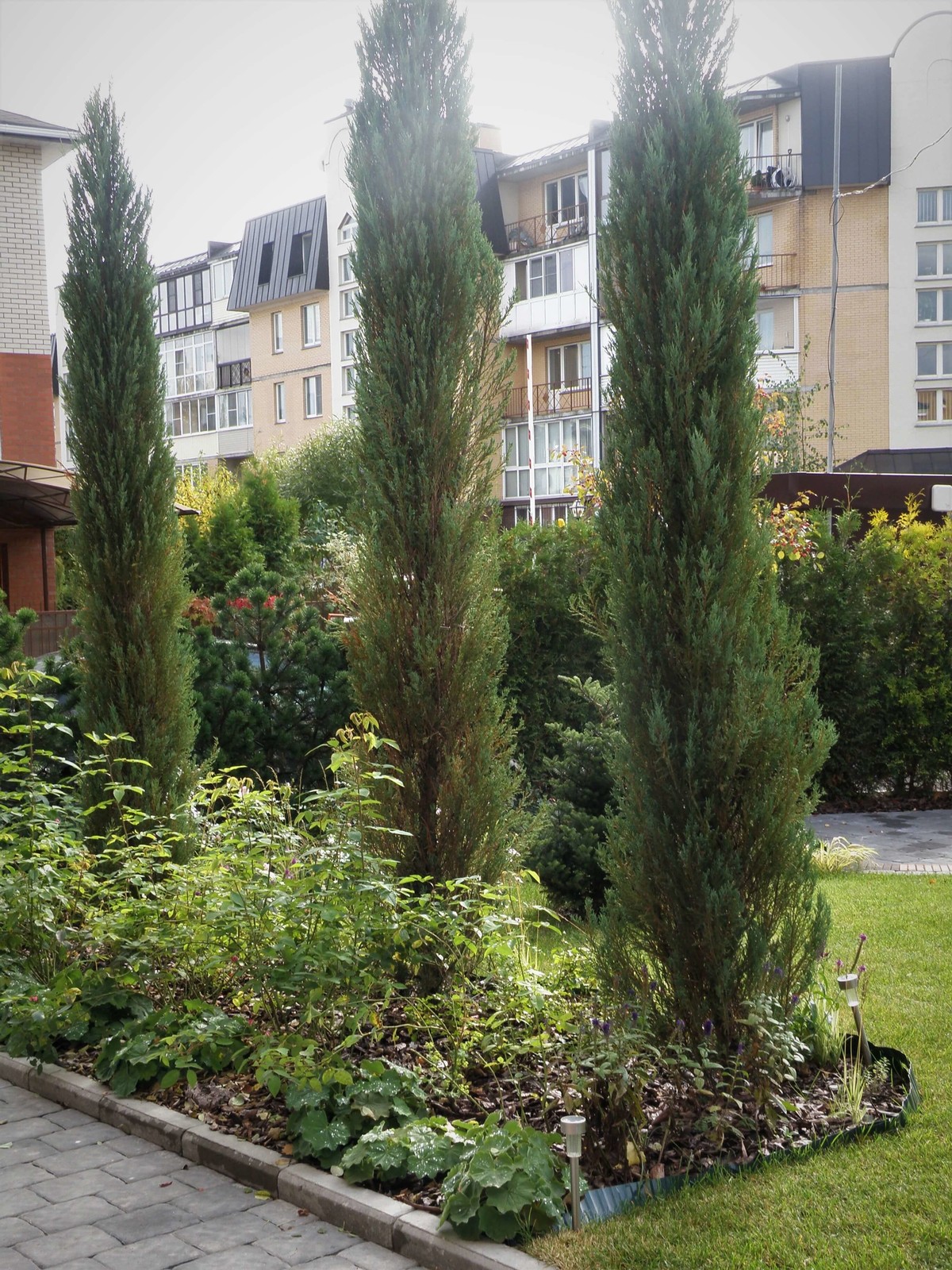 Живая мозаика