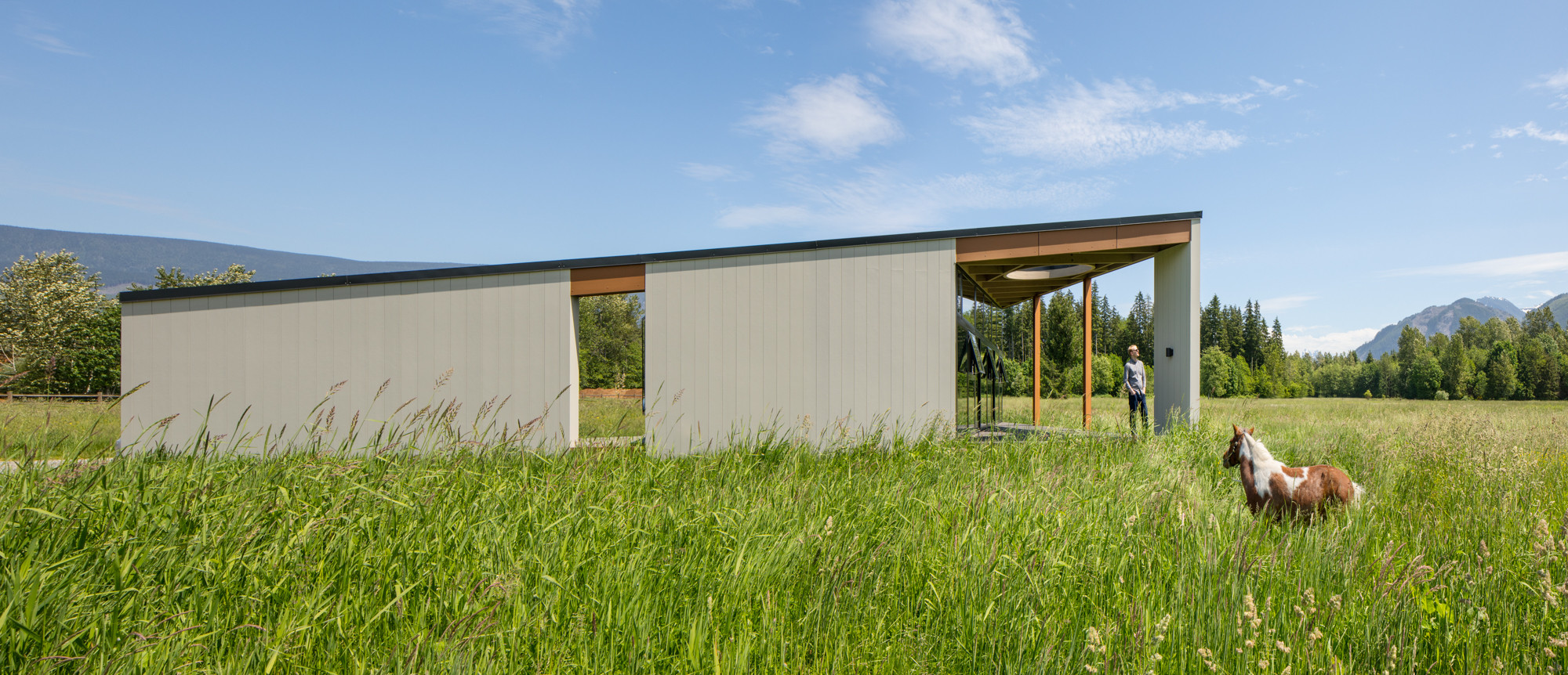 Houzz США: Современный дом с видом на Каскадные горы