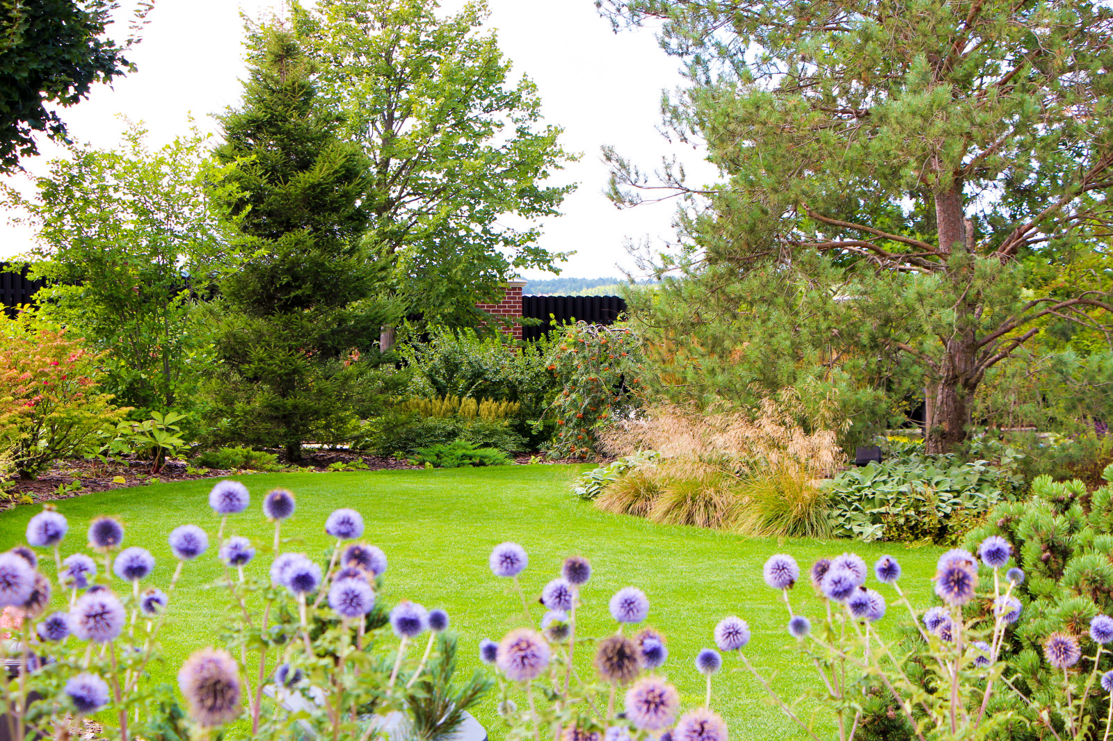 Горки-10, 2017-2020 г.г.