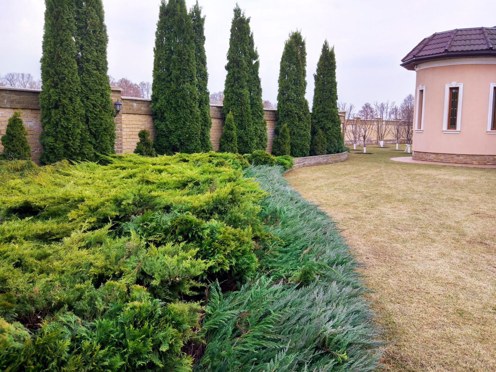 Новая усмань №1