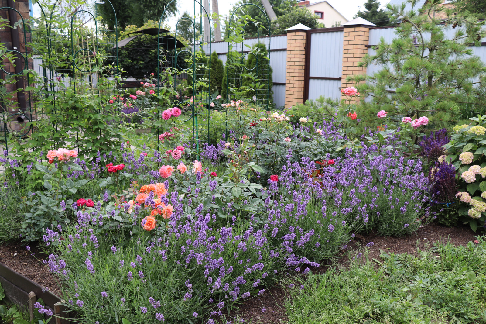 Обложка проекта: Цветущий сад