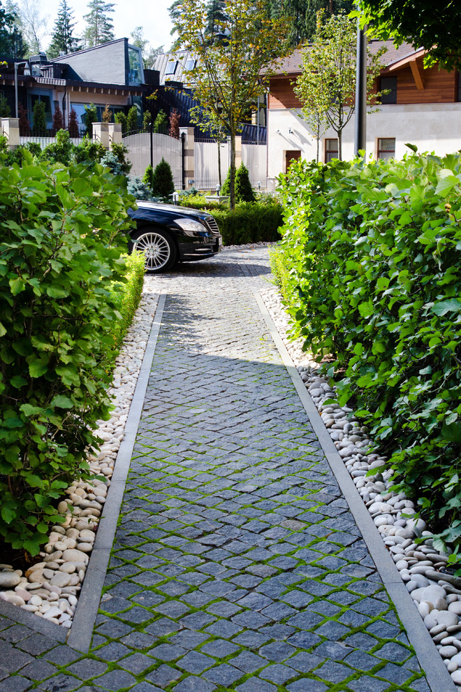 Глянцевый лес