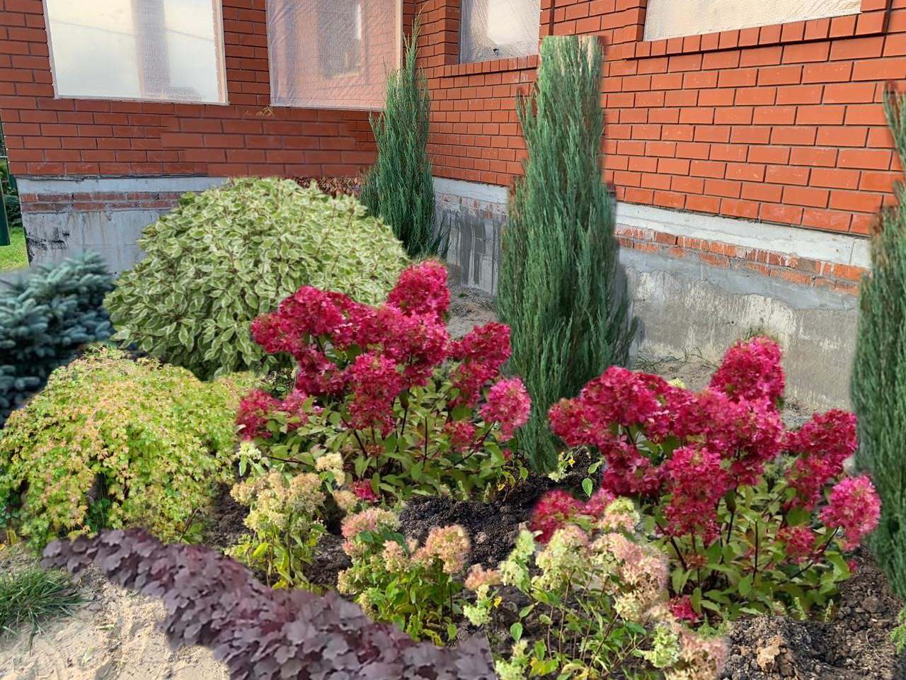 Обложка проекта: миксбордер вдоль дома