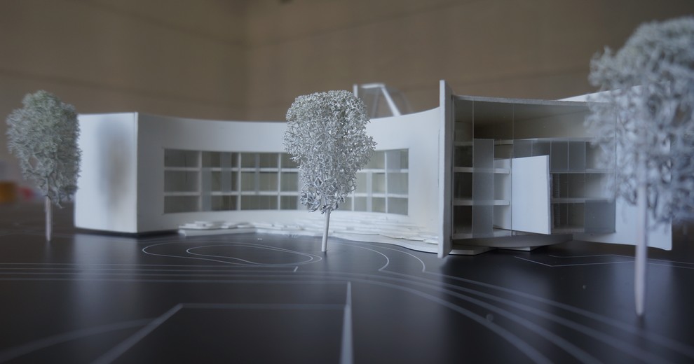 Школа для района "Евроград". Анастасия Ковалёва. Дипломный проект бакалавра.