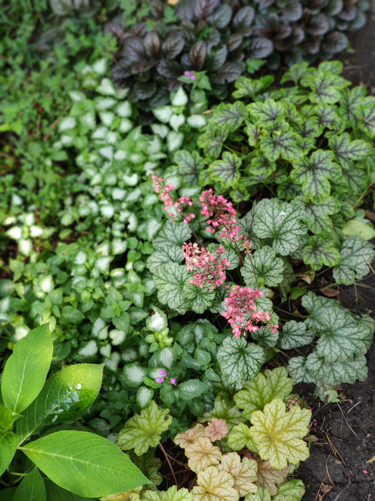 Проект "Форест"