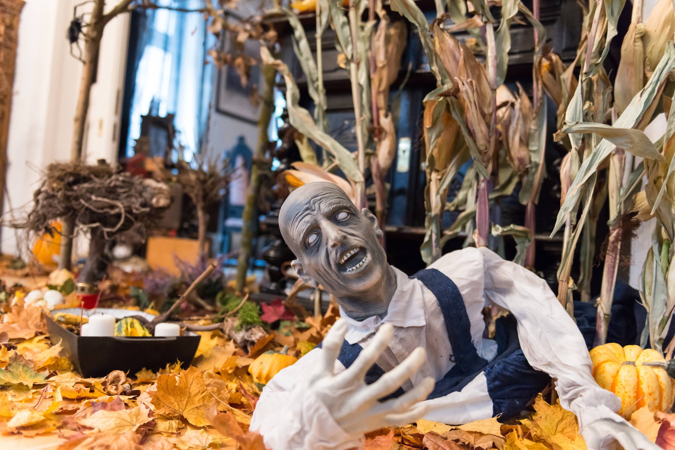 Houzz Германия: Шоу ужасов в одной готической квартире перед Хеллоуином