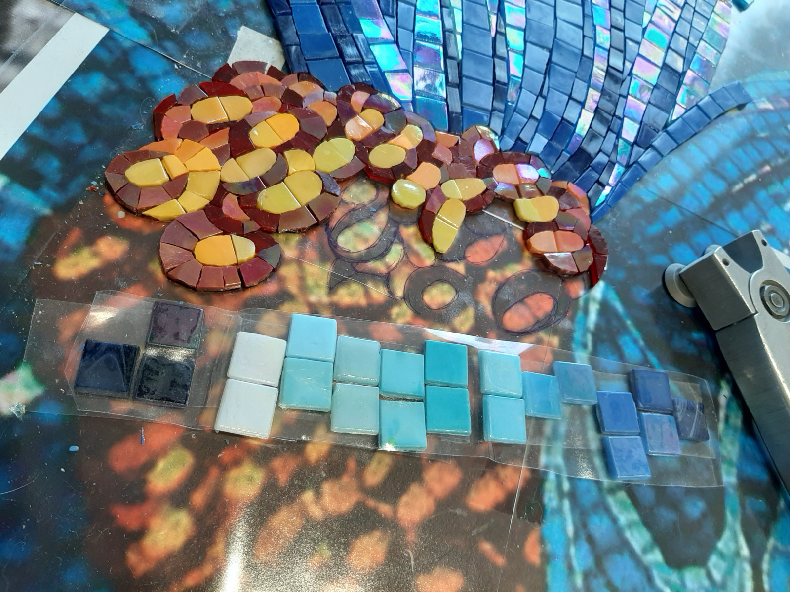 Unnamed Photo