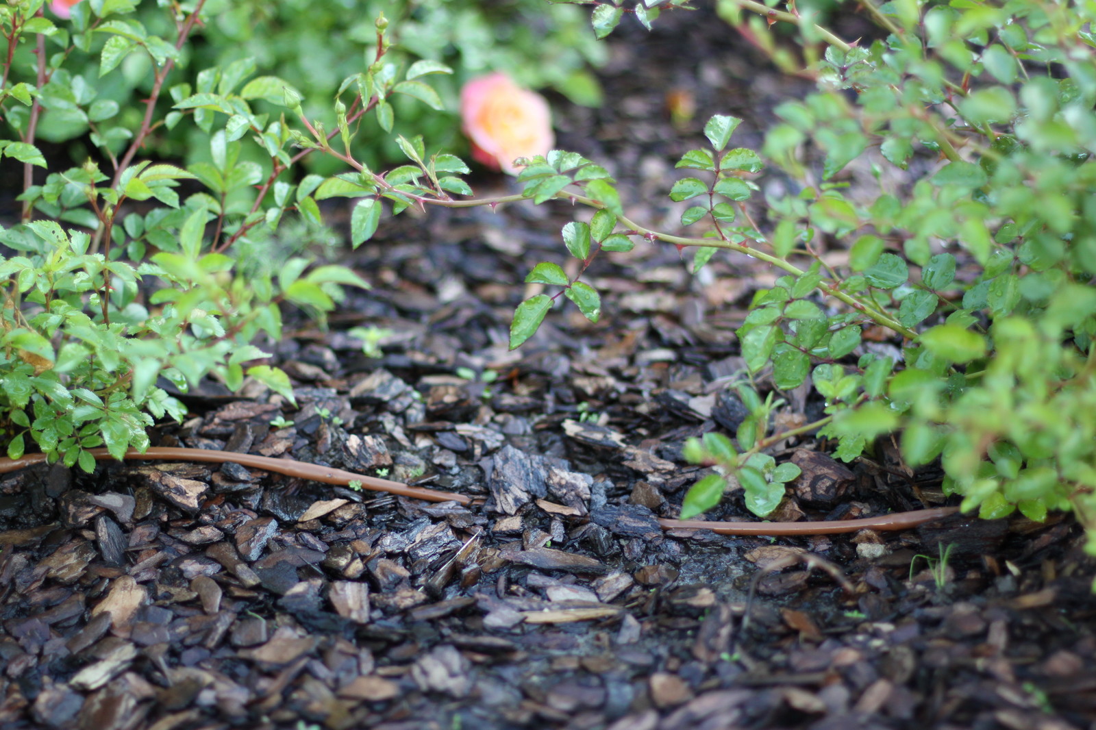 Проект автополива 15 соток