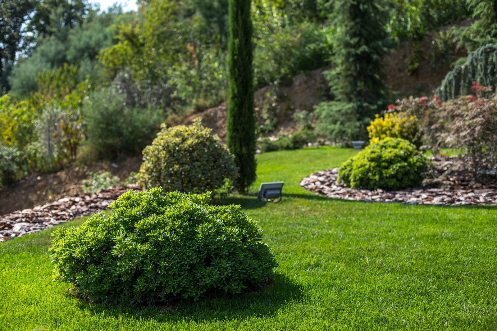 Сириус Сочи