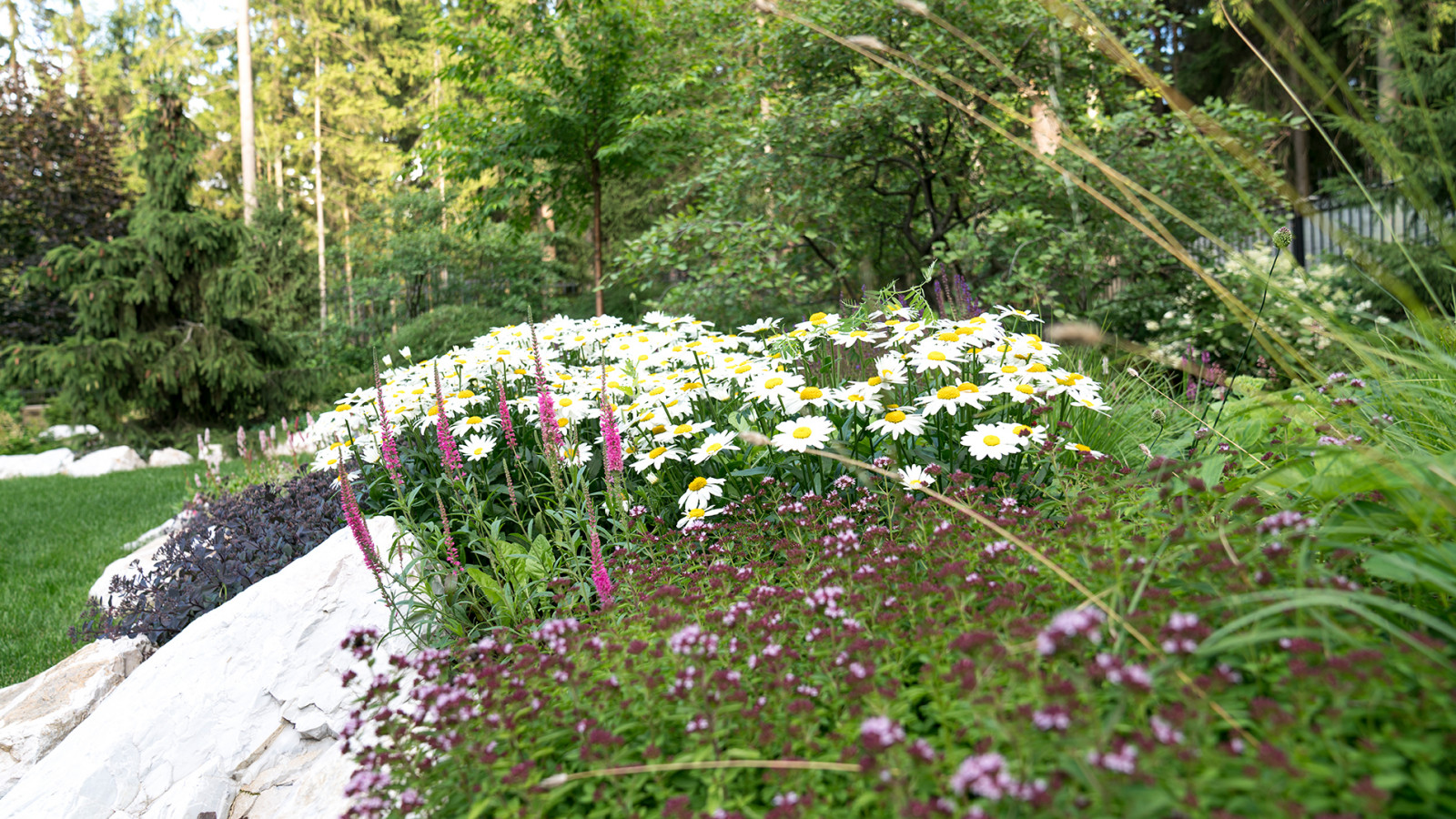 Мечта об Альпах. КП "Вымпел", Новорижское шоссе. 2017 г.