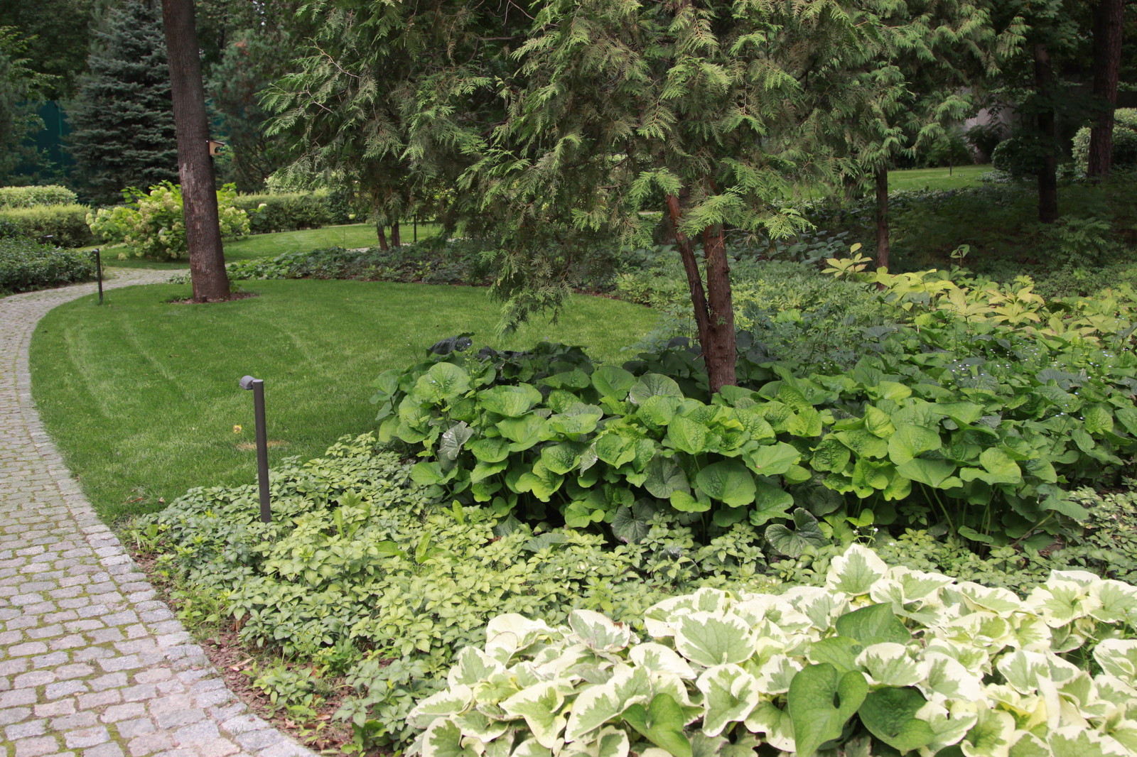 Лесная часть