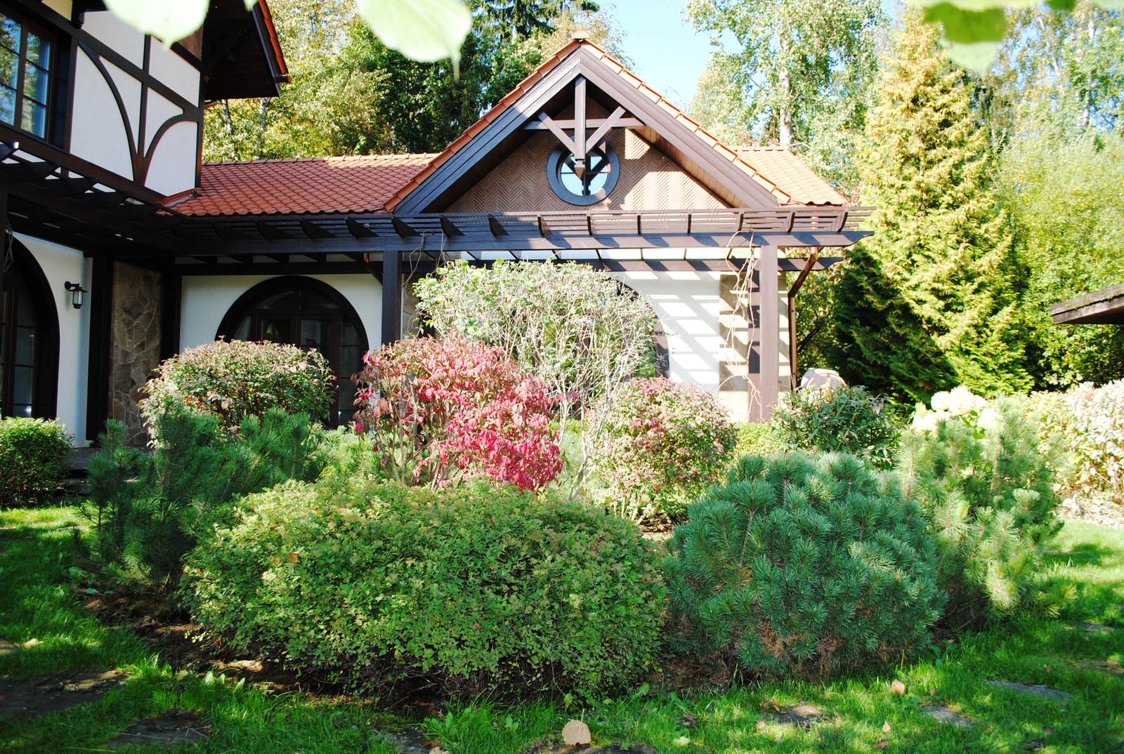 Осенний лес.Дмитровское шоссе