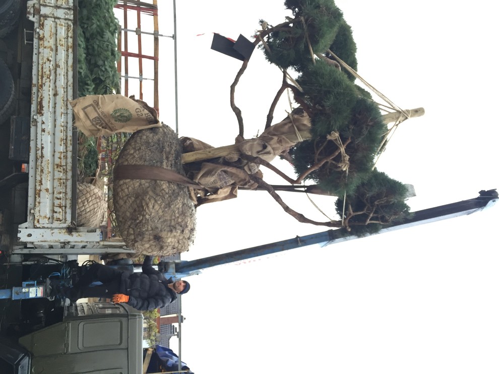 Крупномеры. Летом и зимой