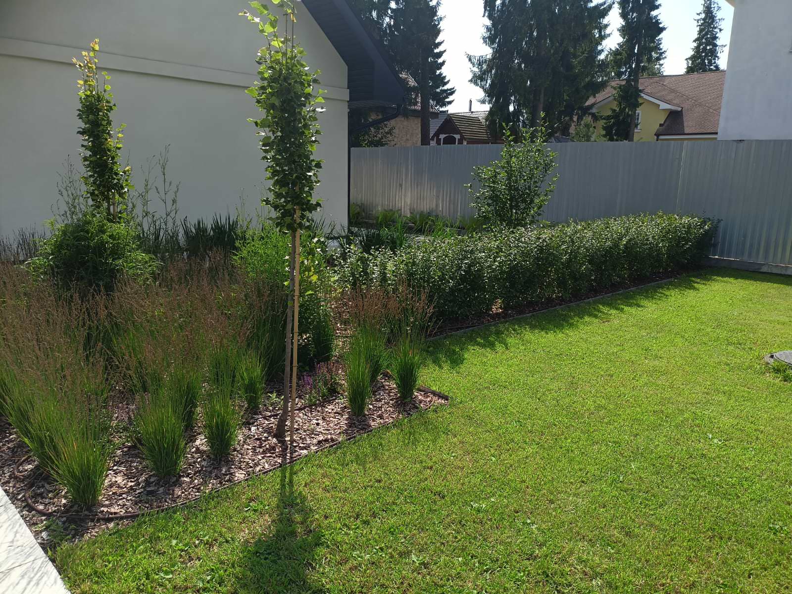 Строгие линии