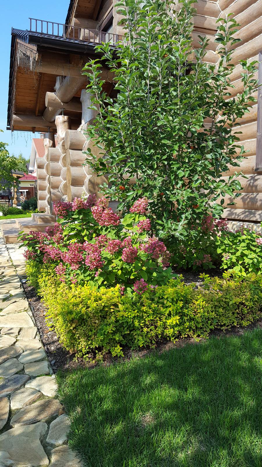 Прохорово лето 2017