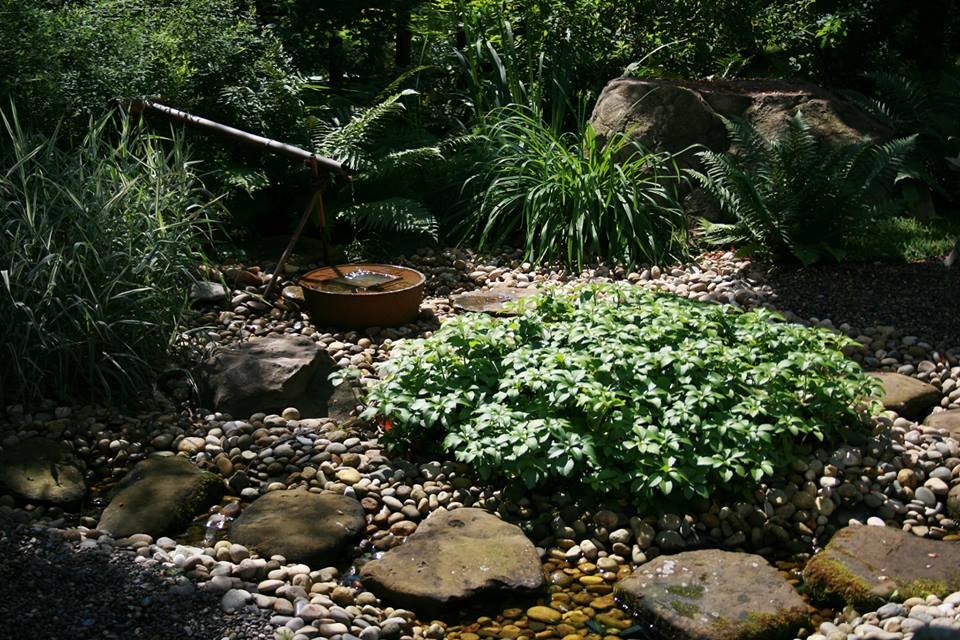 Ландшафтный дизайн