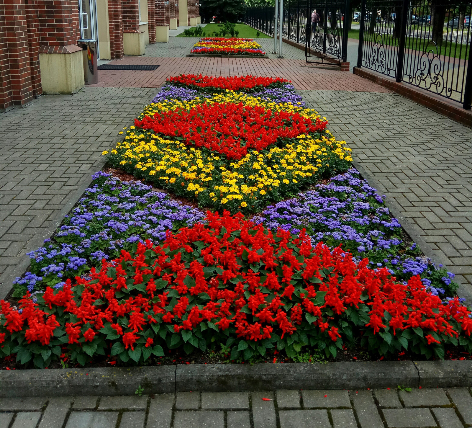 Подборка фотографий