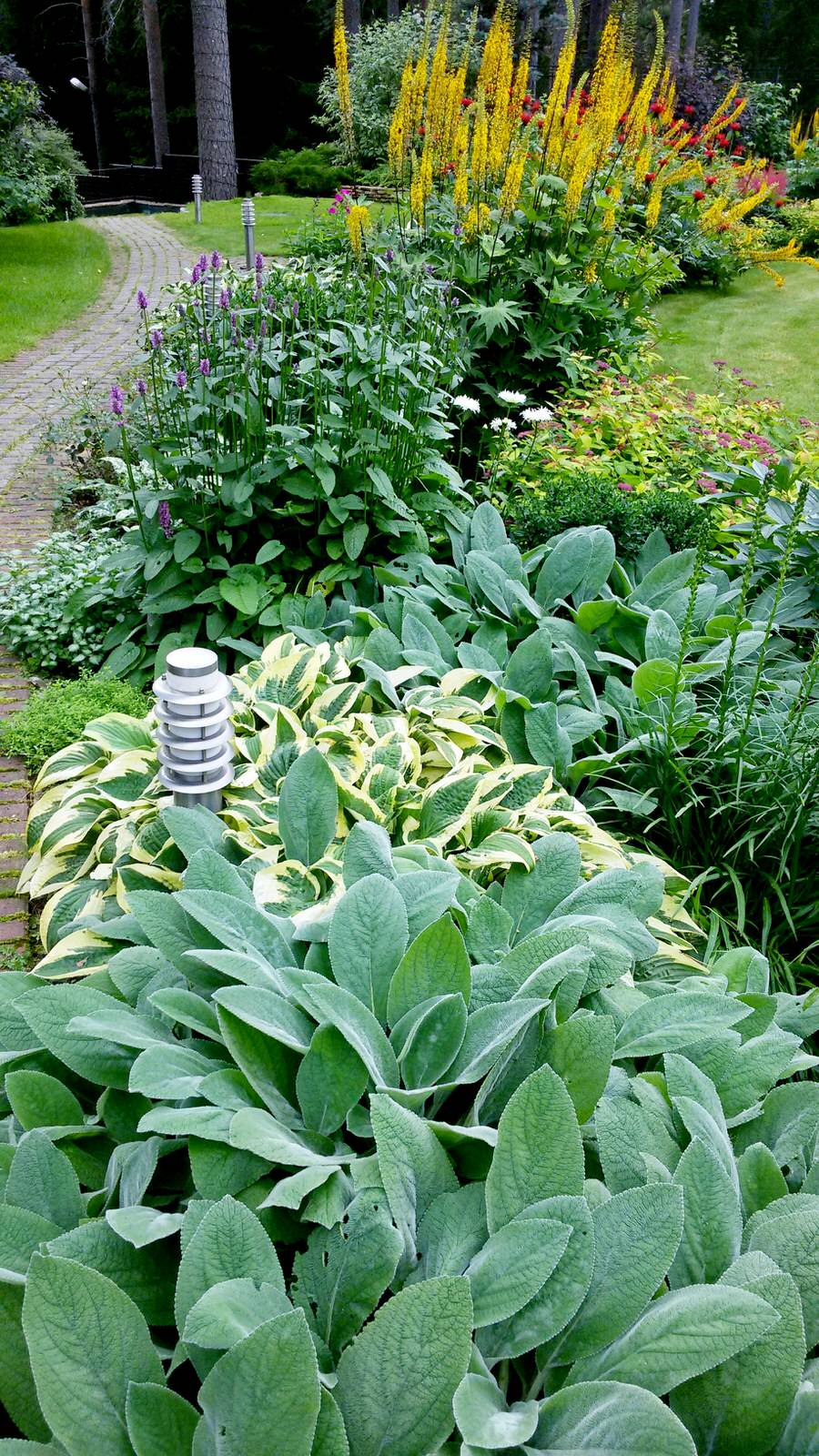 Цветовые сочетания в миксбордере